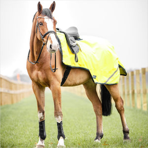 Busse Ausreitdecke Shine 100