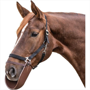 Waldhausen Deckenbeißerschutz Kunststoff - Beige Schutz Polsterung am Pferdekopf befestigt. Ideal als Decken-Zubehör für sicheren Bissschutz.