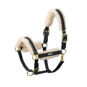 Eskadron Halfter Evo Wool Doublepin Gold Basic Collection #SALE