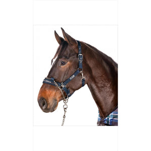 Eskadron Halfter Control mit Dornschnalle Eskadron Basics 2-in-1 Halfter mit Kette #SALE