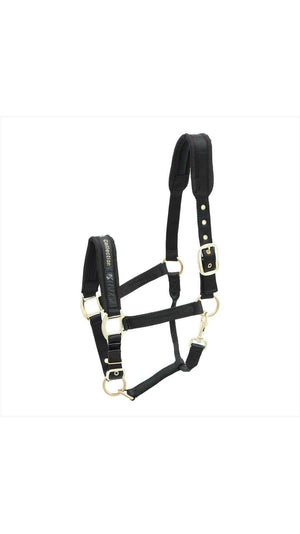 Schwarzes Kieffer Halfter Collection mit weicher Polsterung und verstellbaren Riemen. Nylonhalfter für Pferde, ideal für Komfort im Stall.