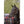 Eskadron Abschwitzdecke FLEECE CHECK Heritage Heritage 2026/2027