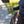 Imperial Riding Longe Extra #SALE
