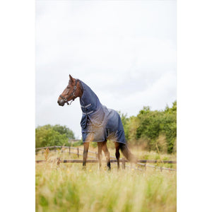 Pferd auf Weide mit HorseGuard Weidedecke Millan 1200D, schützt vor Wind und Regen, abnehmbares Halsteil für flexible Nutzung.