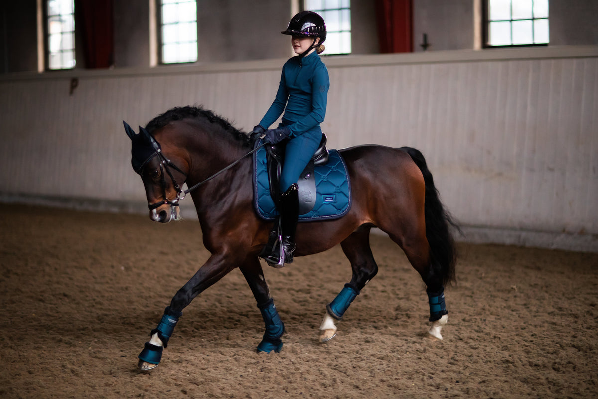Equestrian Stockholm brand image: dressage rider and bay horse with turquoise equipment in an indoor arena.