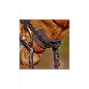 Kavalkade KavalSoft Pads - Kinnriemenschoner Neopren in schwarz am Pferdekopf befestigt, schützt vor Druckstellen und passt zu jeder Trense.