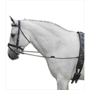 Waldhausen Ausbinder Elastik - Reitzubehör für Pferde, elastisch und stufenlos verstellbar, am weißen Pferd montiert. Ideal für Training.