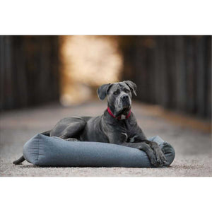 Großer Hund liegt entspannt im Kentucky Hundebett weich 60x45cm, langlebiges Hundezubehör für Komfort im Innen- und Außenbereich.