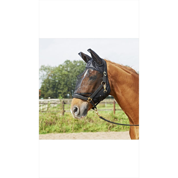 Busse fly mask Fly Guard Plus 
