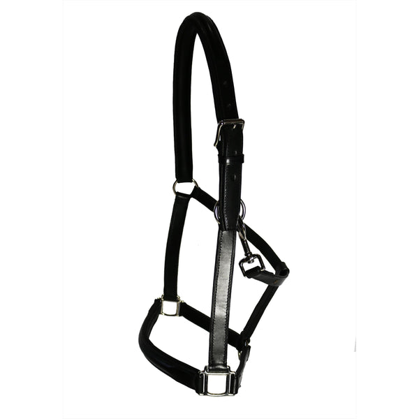 Döbert leather halter Classic leather halter