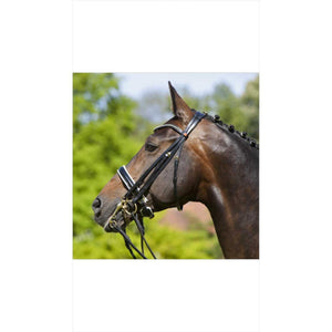 Kieffer Kandare Paris mit weich gepolstertem Genickstück am Pferd, flach genäht für Komfort und Kontrolle beim Reiten.