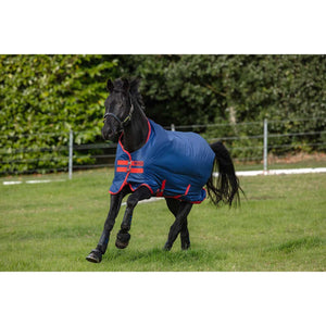 Horseware Mio Turnout Medium 200g - Wasserdicht, Atmungsaktiv. Schwarzes Pferd mit blauer Weidedecke mit roten Akzenten auf grüner Wiese in Bewegung.