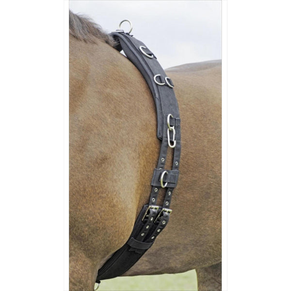 Busse lunging belt Profi-Soft 