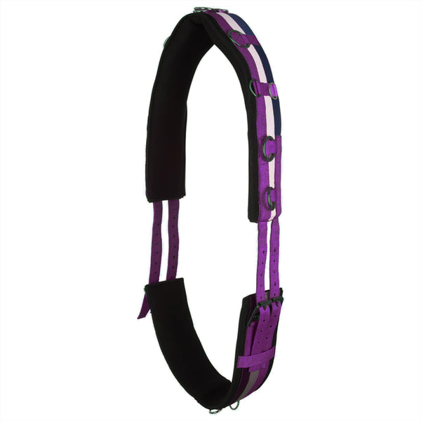 Imperial Riding Lunging Belt Nylon Deluxe Great colors 