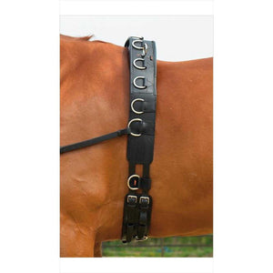 Busse Longiergurt PROFESSIONAL-LEDER aus schwarzem Leder am Pferd, stabiler Sitz mit zahlreichen Ringen für Longierbedarf.